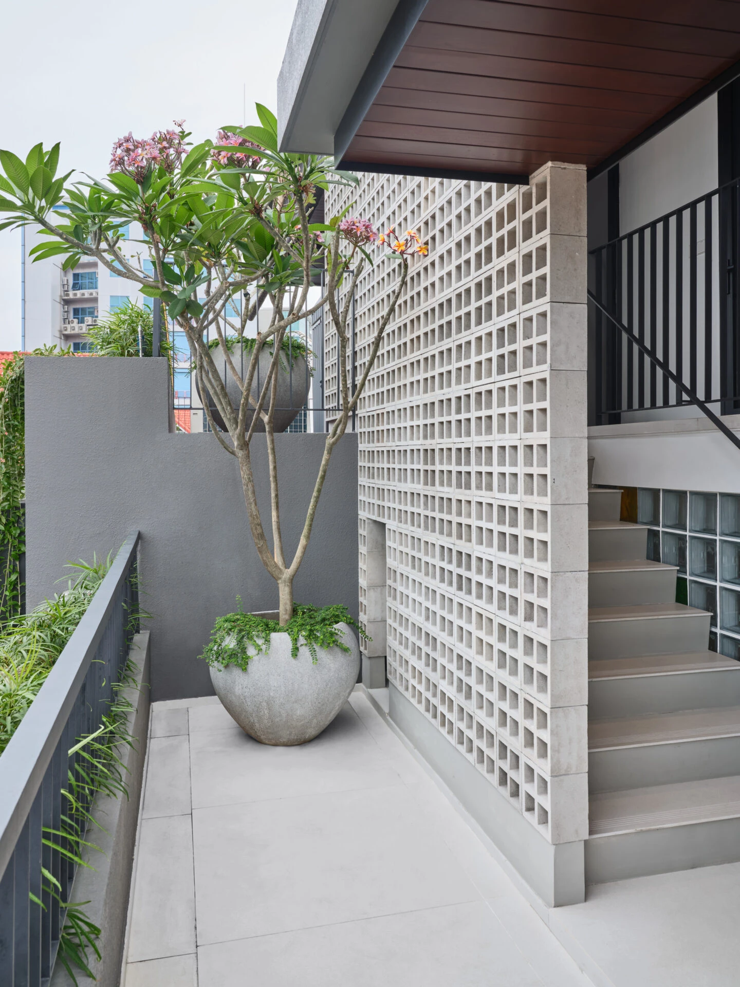 Open garden entrance in modern residential home design.