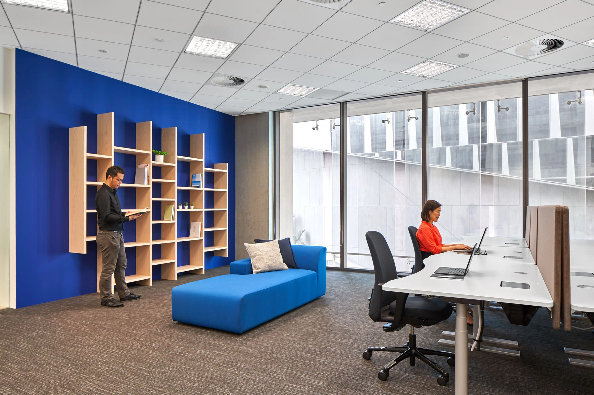 Team workspace with cobalt blue wall and timber shelving