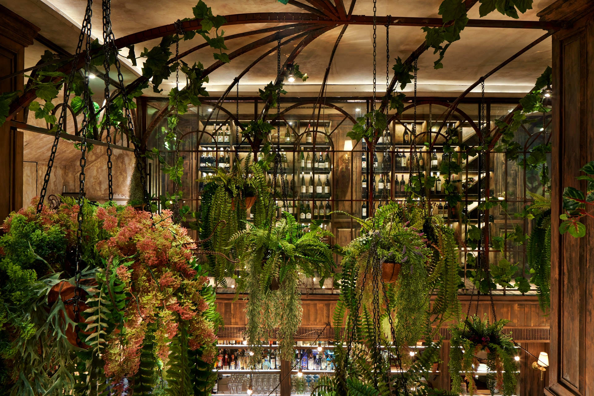 Overhead view through iron conservatory with cascading ferns and backlit wine wall
