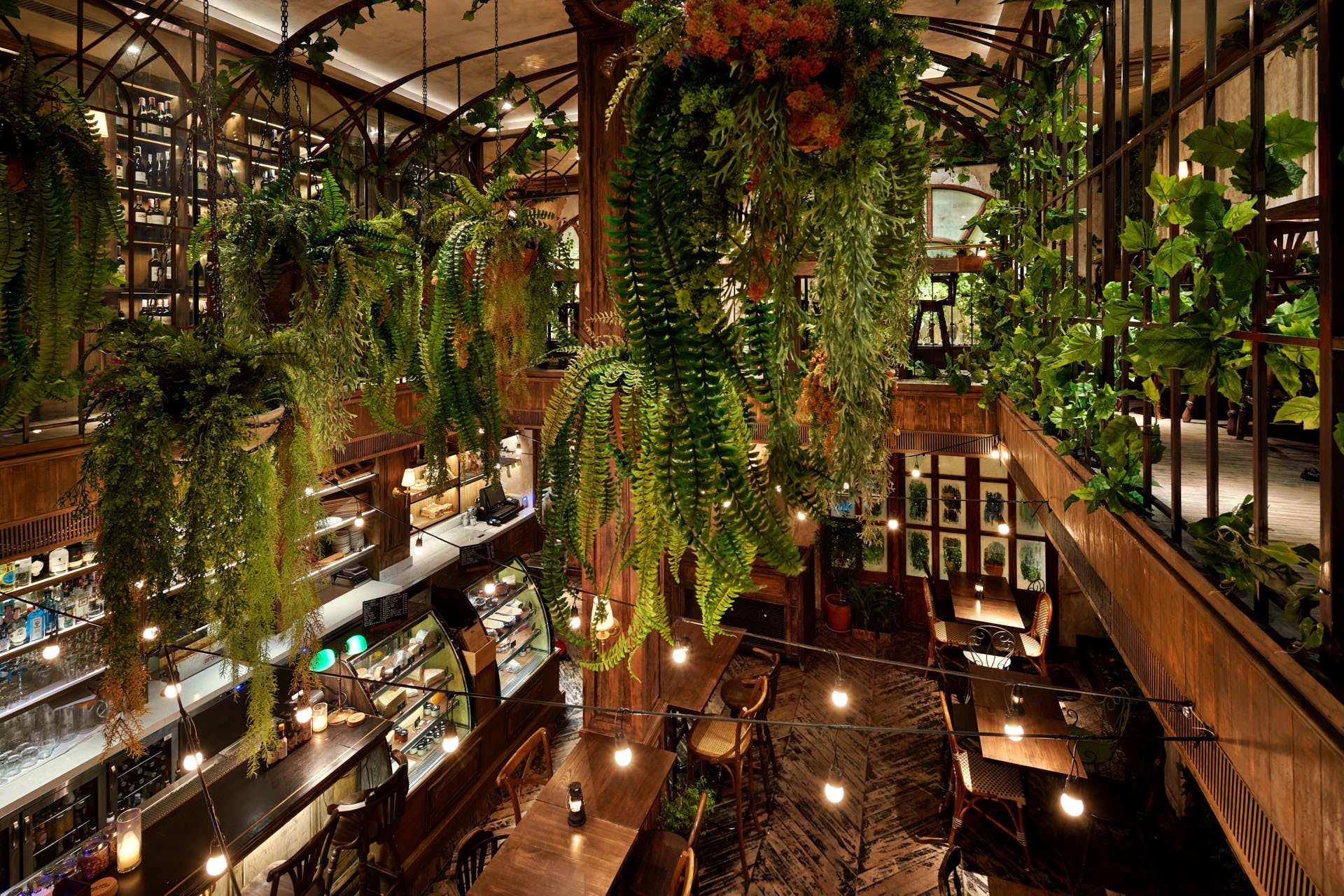 Bird's-eye view of greenhouse bar with hanging ferns and Edison string lights