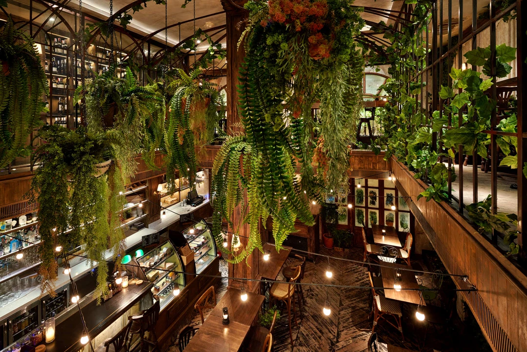 Bird’s-eye view of greenhouse bar with hanging ferns and Edison string lights