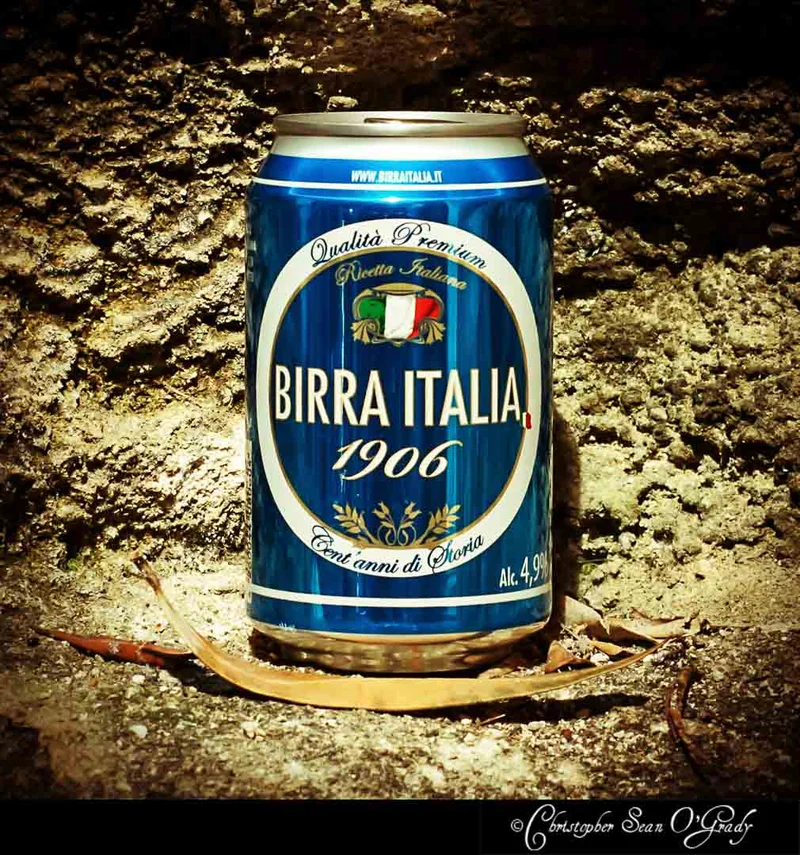 Birra Italia 1906 beer can on a rough stone surface with dried leaf