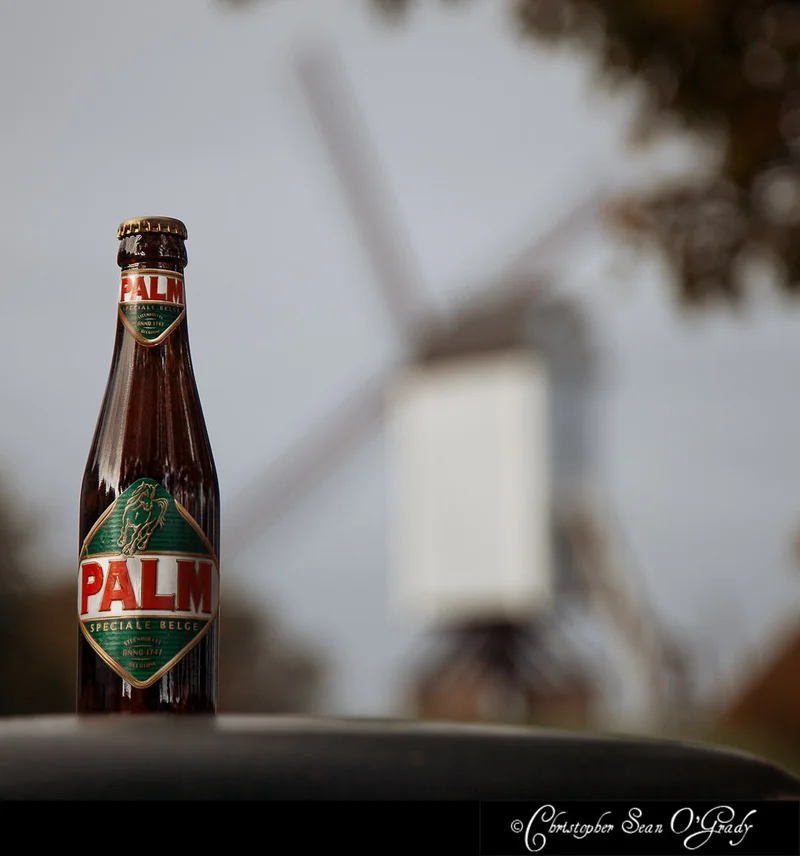 Palm Speciale Belge beer bottle with a windmill in the background