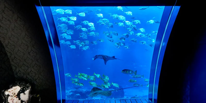 Equarius Hotel Ocean Suite in Singapore Virtual Tour